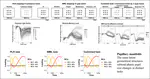 New preprint!