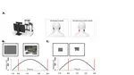 New preprint!