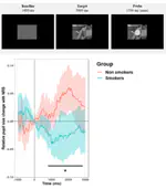 Pupil size as a robust marker of attentional bias toward nicotine-related stimuli in smokers