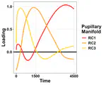 Pupillary manifolds: uncovering the latent geometrical structures behind phasic changes in pupil size